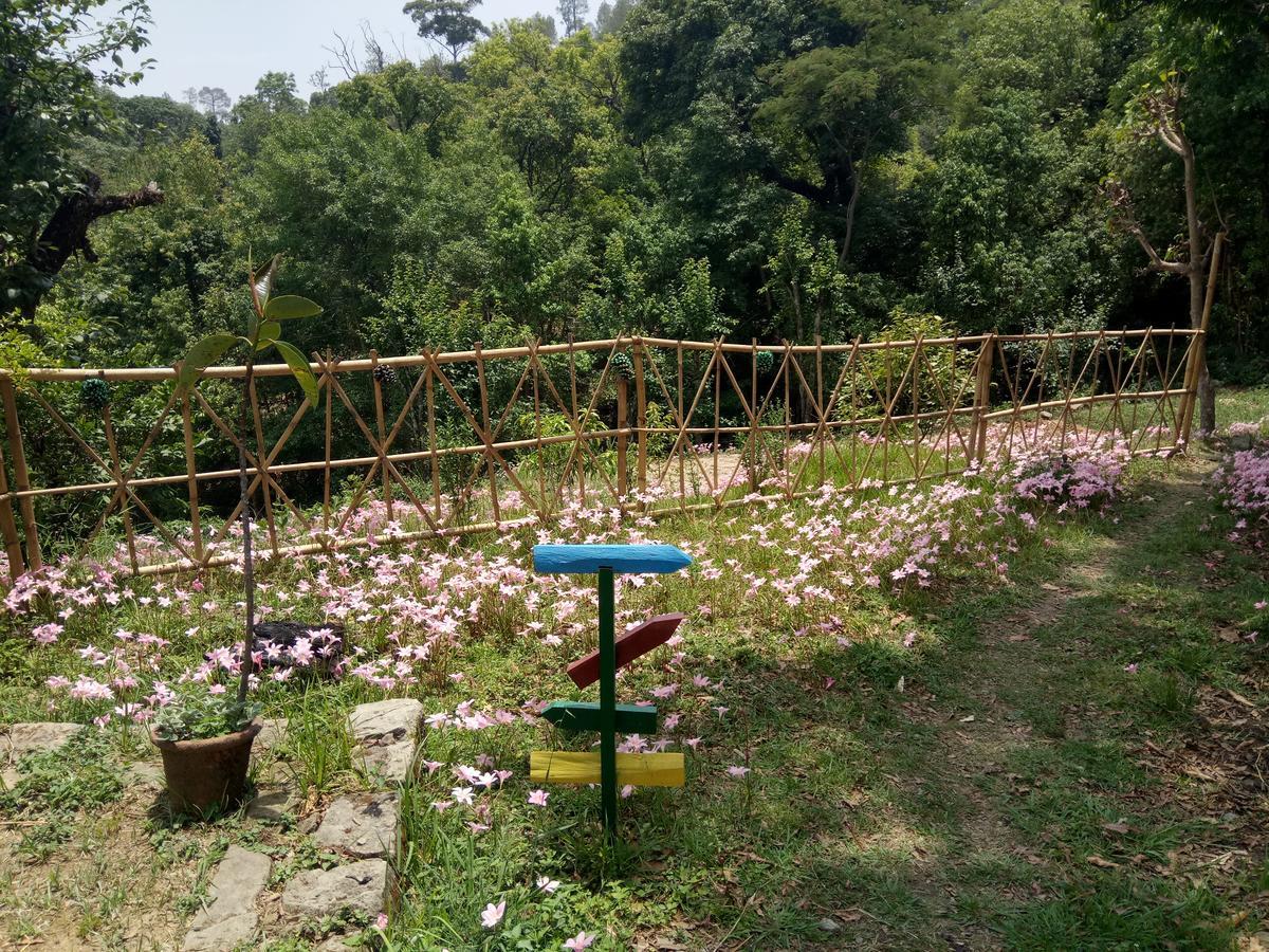 Hots Nainital Hostel Patwa Dunga Exterior photo