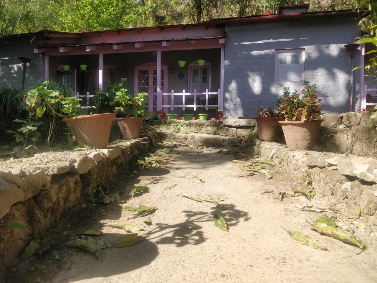 Hots Nainital Hostel Patwa Dunga Exterior photo